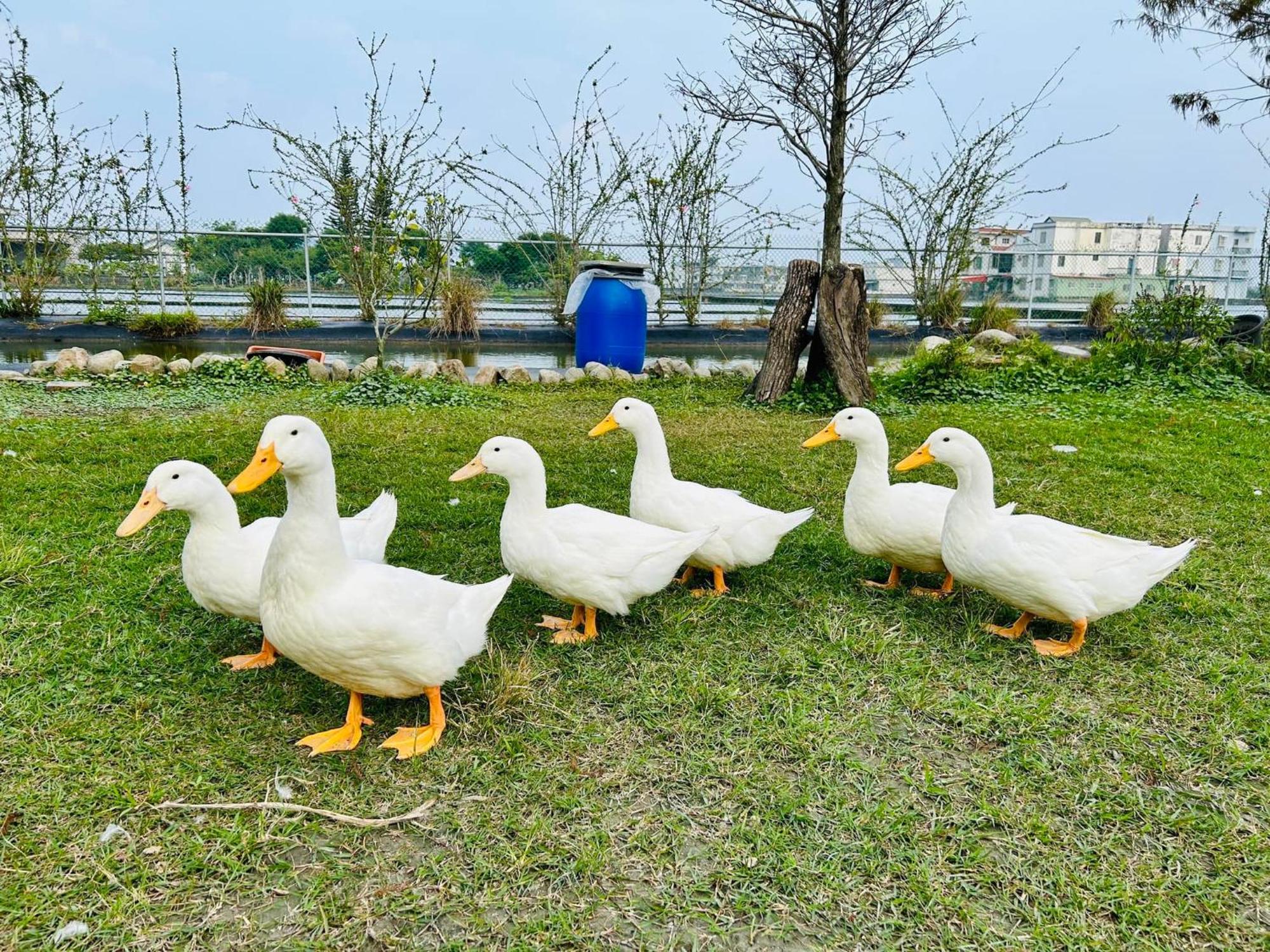 Tu Wei 192 Homestay Zhuangwei Buitenkant foto